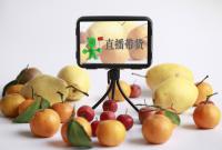 辛選集團內部信稱下半年重點發展新農業，618期間首次直播帶車
