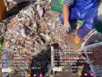 日本“排污入海”后中國漁民直播間遭網暴？漁民呼吁：望理性