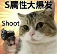 年入1000萬的傅首爾被離婚，冤嗎？