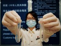 49只活體昆蟲，在入境旅客攜帶水果中被截獲