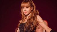 沒必要再洗白了，Lisa決定參加瘋馬秀，本身就有大尺度表演
