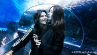 向佐郭碧婷海洋館剪影大片 二人互相對視依偎秀恩愛