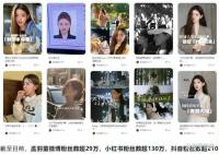 孟羽童單條廣告報價20萬？放棄董明珠秘書標簽值得么？