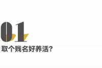 我身份證上的名字是「張騷女」